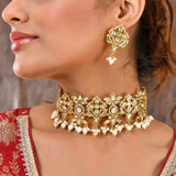 Panchhi Pakhee Choker Necklace Set