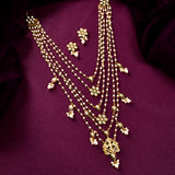 Panchhi Pakhee Rani Haar Necklace Set