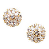 Sparkling Essentials Designer Floral Earrings