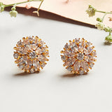 Sparkling Essentials Designer Floral Earrings